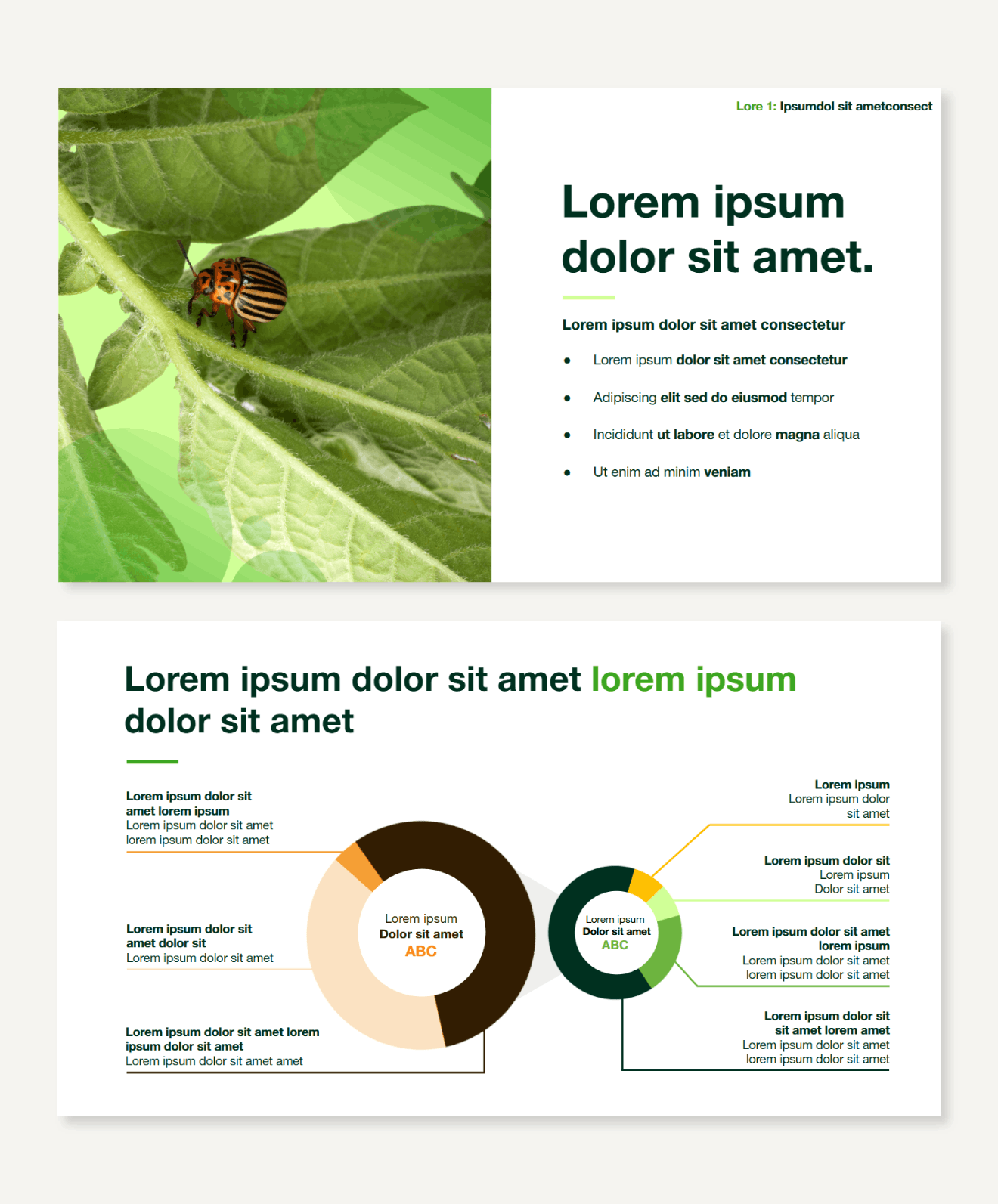 Slide deck 01