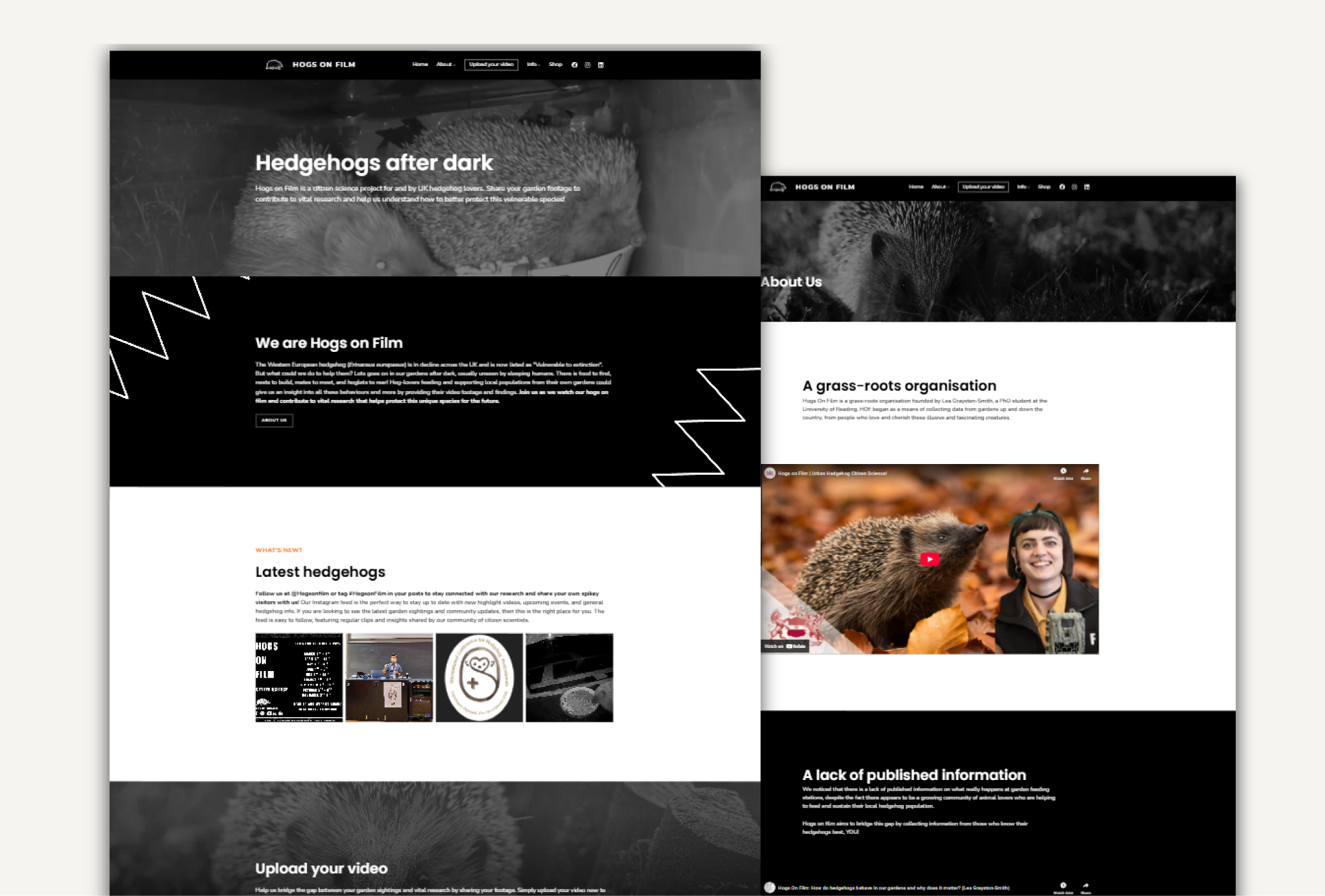 Website 01